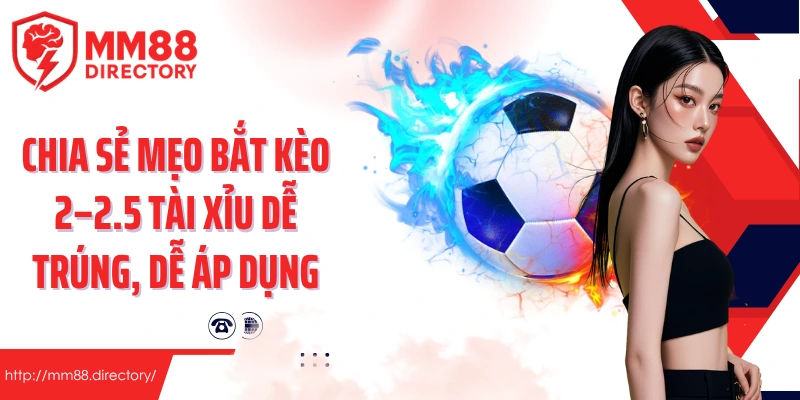Chia sẻ mẹo bắt kèo 2–2.5 tài xỉu dễ trúng, dễ áp dụng